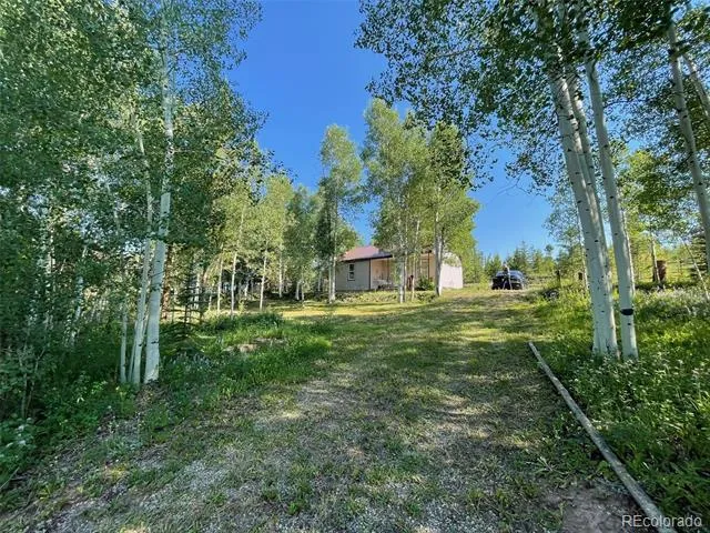 53 Alpine Drive Tabernash, CO 80478