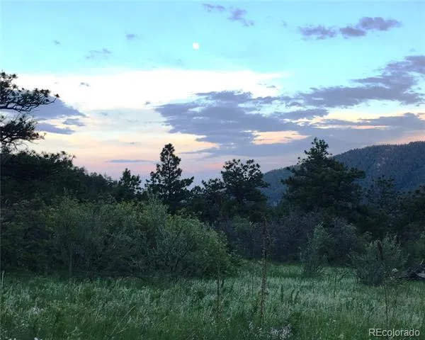 5162 Raven Gulch Road Morrison, CO 80465