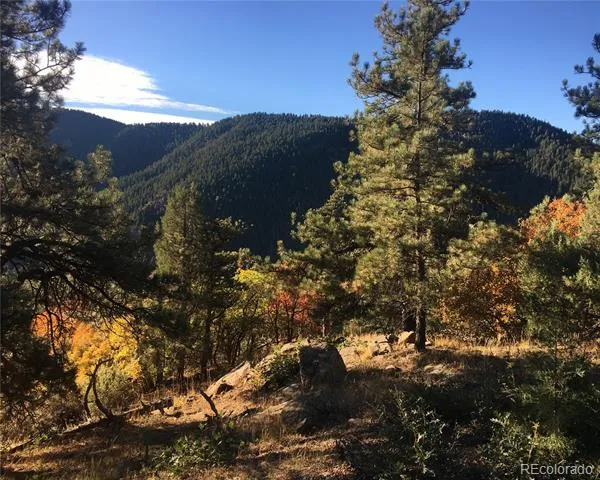 5162 Raven Gulch Road Morrison, CO 80465