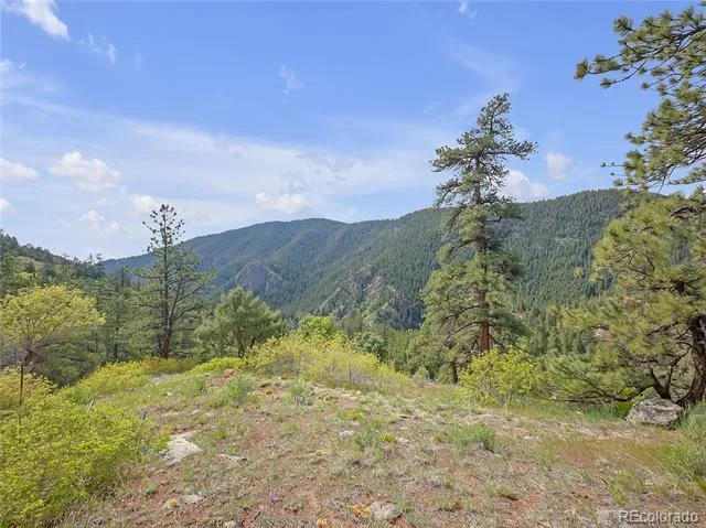 5162 Raven Gulch Road Morrison, CO 80465