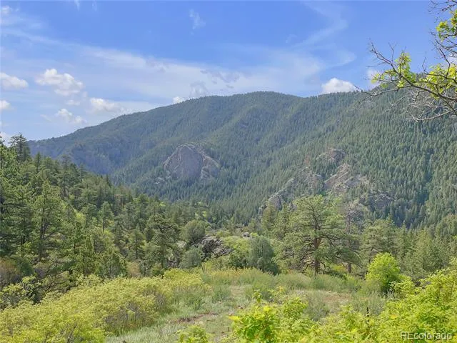 5162 Raven Gulch Road Morrison, CO 80465