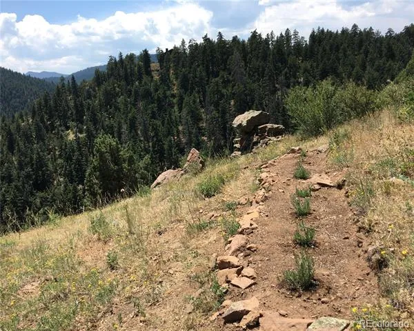 5162 Raven Gulch Road Morrison, CO 80465