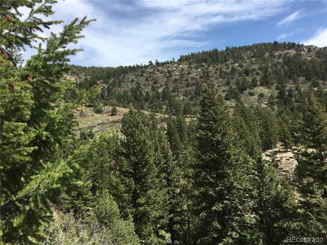 5162 Raven Gulch Road Morrison, CO 80465