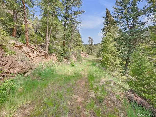 5162 Raven Gulch Road Morrison, CO 80465