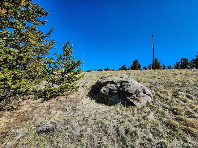 39 Platte View Drive Fairplay, CO 80440