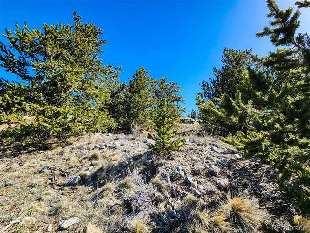 39 Platte View Drive Fairplay, CO 80440
