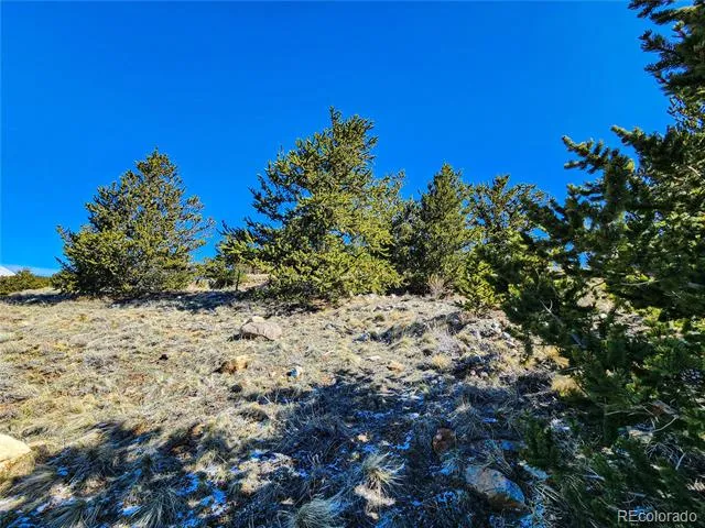 39 Platte View Drive Fairplay, CO 80440