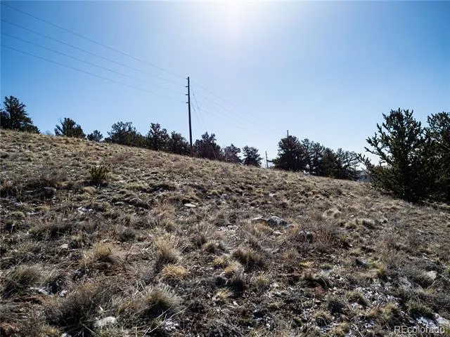 39 Platte View Drive Fairplay, CO 80440