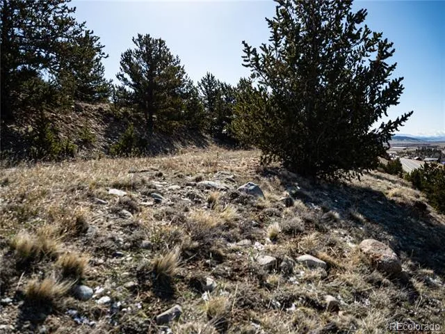 39 Platte View Drive Fairplay, CO 80440
