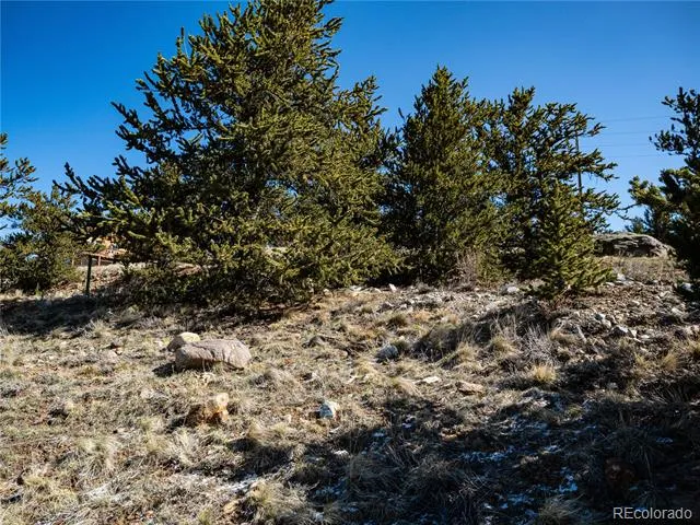 39 Platte View Drive Fairplay, CO 80440