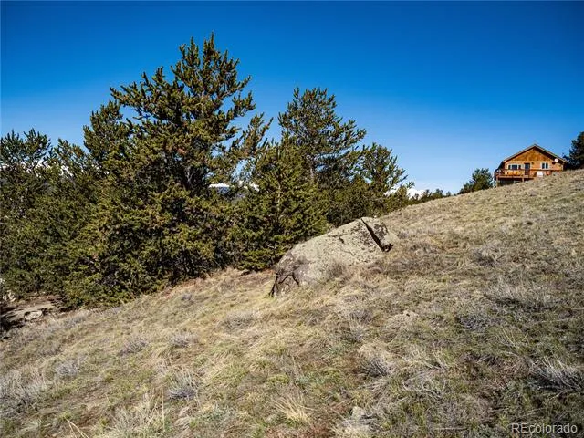 39 Platte View Drive Fairplay, CO 80440