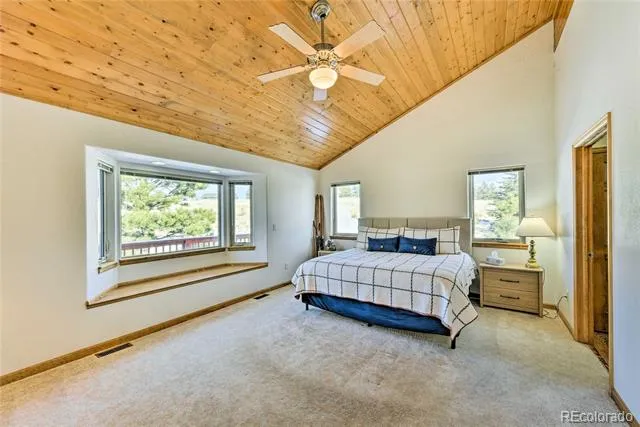 423 Wagon Wheel Road Hartsel, CO 80449
