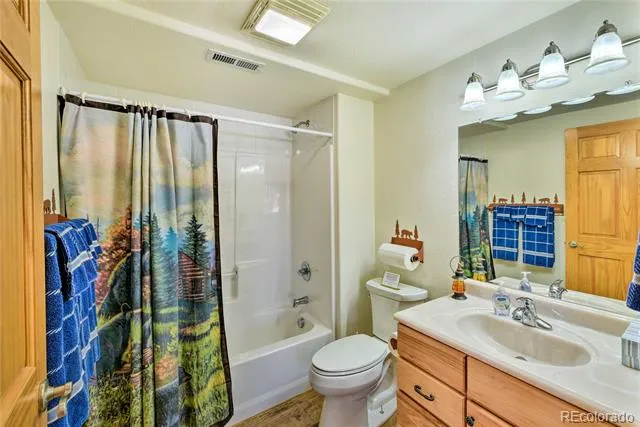 423 Wagon Wheel Road Hartsel, CO 80449