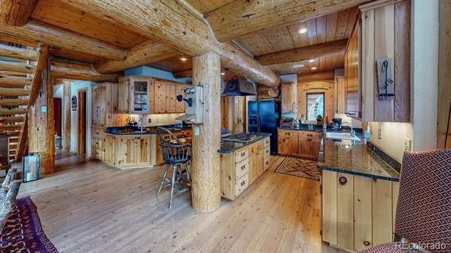 2418 Forest Rd 526 Creede, CO 81130