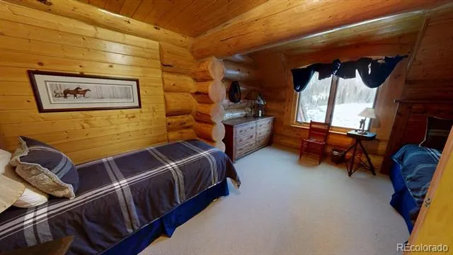 2418 Forest Rd 526 Creede, CO 81130
