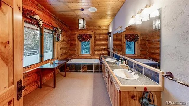 2418 Forest Rd 526 Creede, CO 81130