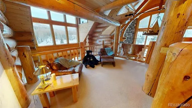 2418 Forest Rd 526 Creede, CO 81130