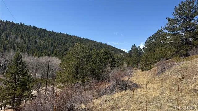 023 Eureka Street Central City, CO 80427