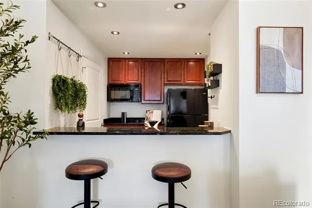 925 Lincoln Street #6K Denver, CO 80203