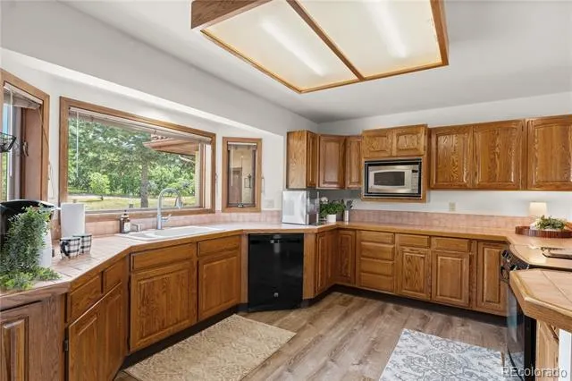 380 Scrub Oak Circle Monument, CO 80132