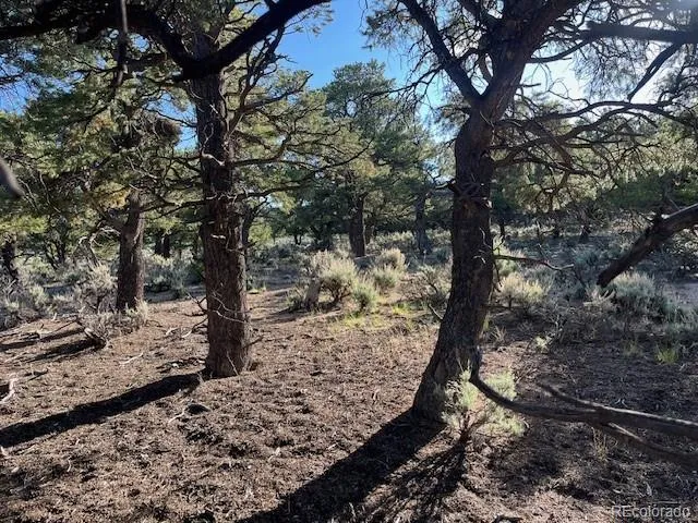 Lot 7138 Dunklau Road Fort Garland, CO 81133