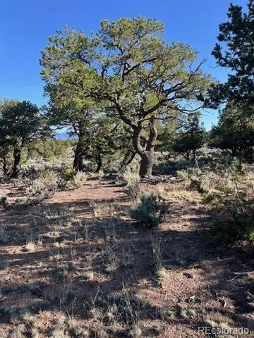 Lot 7138 Dunklau Road Fort Garland, CO 81133