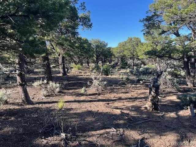 Lot 7138 Dunklau Road Fort Garland, CO 81133