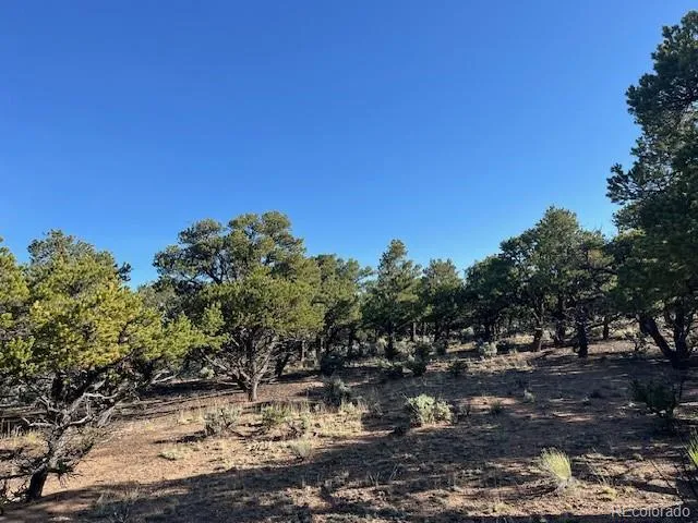 Lot 7138 Dunklau Road Fort Garland, CO 81133