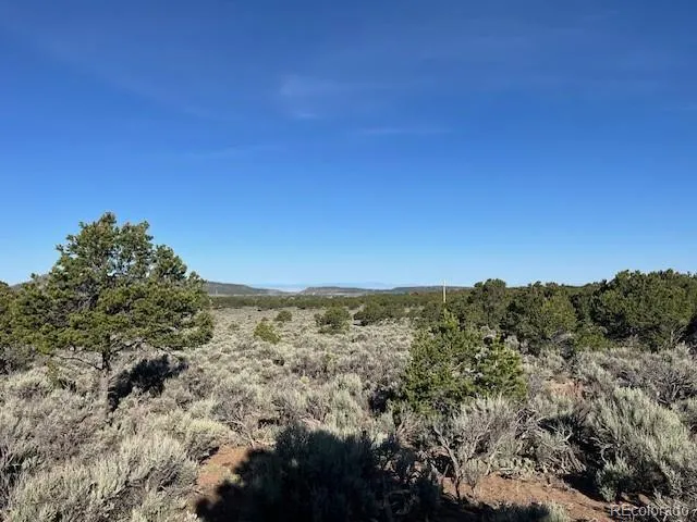 Lot 7138 Dunklau Road Fort Garland, CO 81133