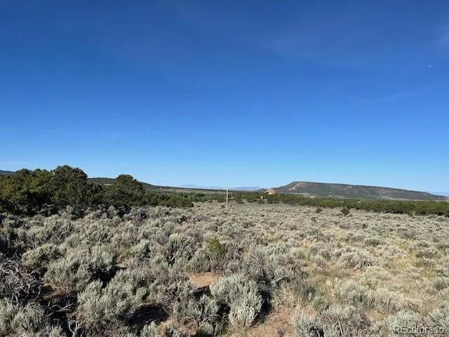 Lot 7138 Dunklau Road Fort Garland, CO 81133