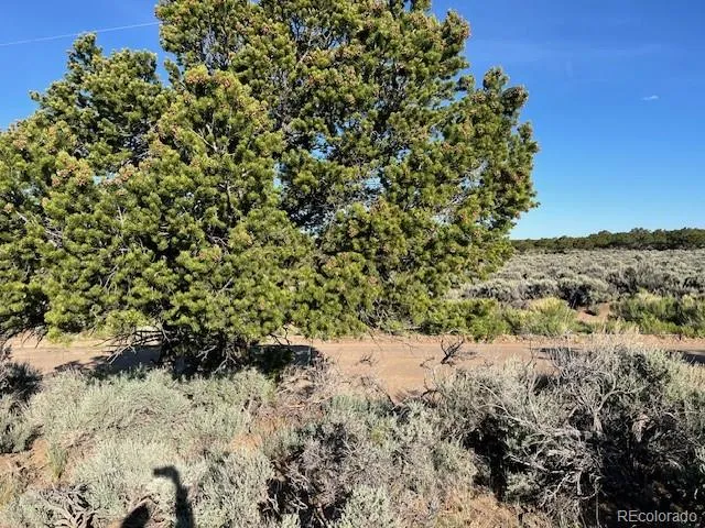 Lot 7138 Dunklau Road Fort Garland, CO 81133