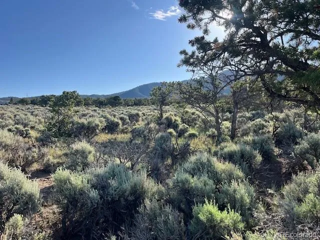 Lot 7138 Dunklau Road Fort Garland, CO 81133