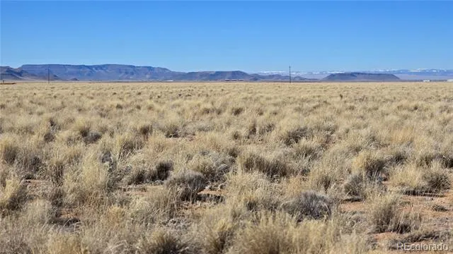 Lots 12 & 13 28th street N Blanca, CO 81123