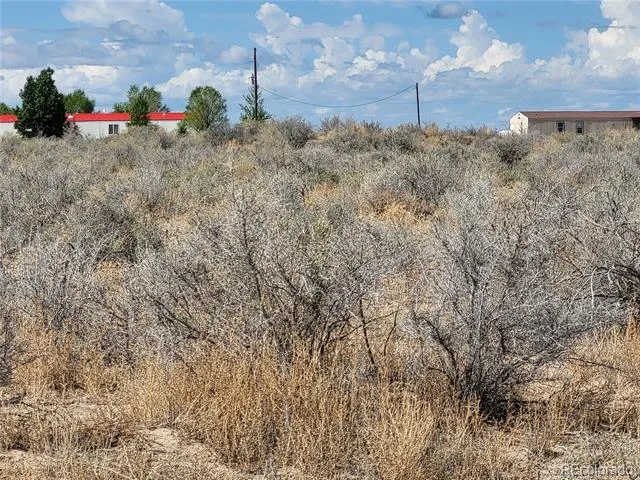 0000 Forest Drive Alamosa, CO 81101