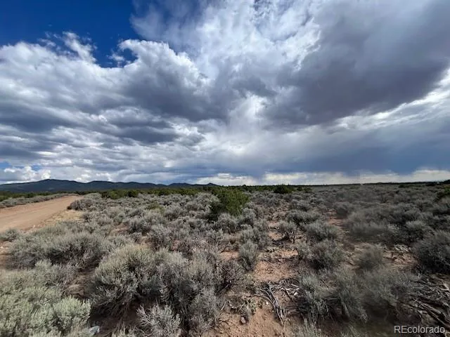 Lot 989 Bateman Road Fort Garland, CO 81133