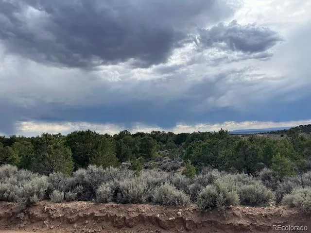 Lot 989 Bateman Road Fort Garland, CO 81133