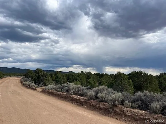 Lot 989 Bateman Road Fort Garland, CO 81133