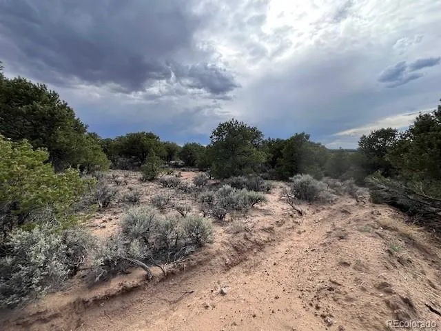 Lot 989 Bateman Road Fort Garland, CO 81133