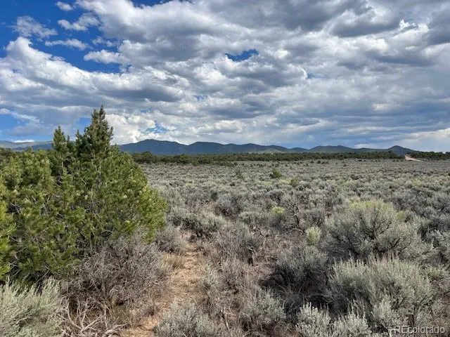 Lot 989 Bateman Road Fort Garland, CO 81133