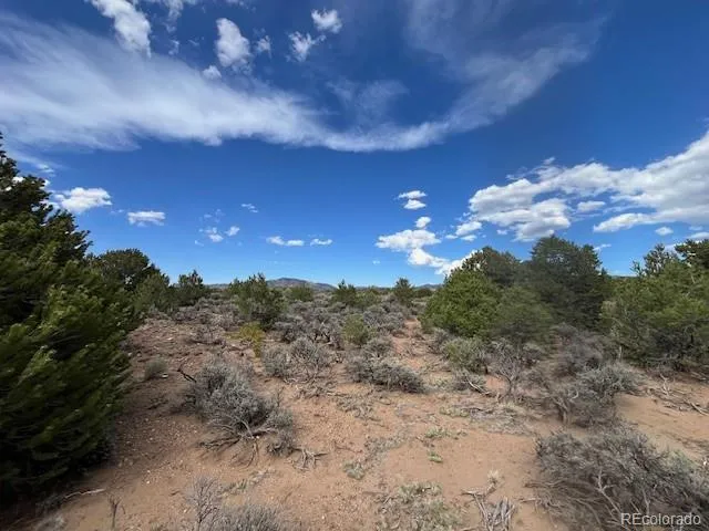 Lot 989 Bateman Road Fort Garland, CO 81133