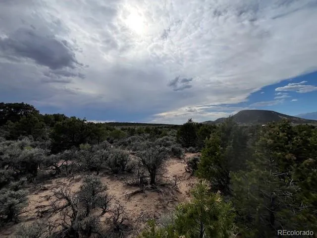 Lot 989 Bateman Road Fort Garland, CO 81133