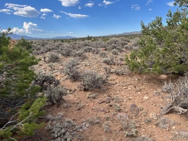Lot 989 Bateman Road Fort Garland, CO 81133