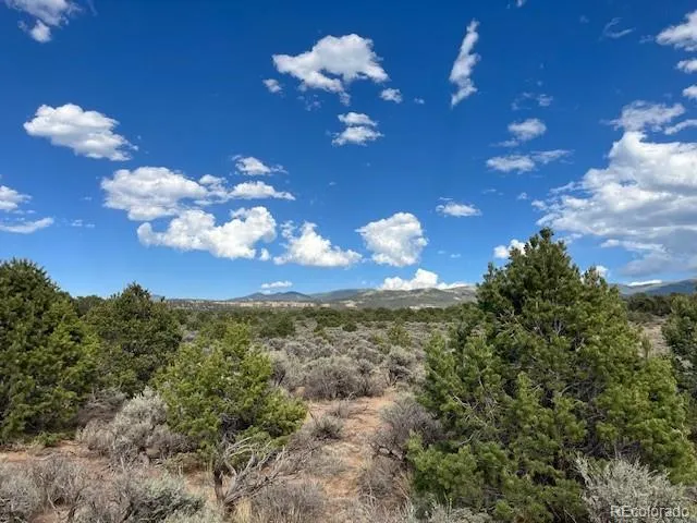 Lot 989 Bateman Road Fort Garland, CO 81133