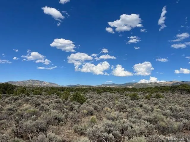Lot 989 Bateman Road Fort Garland, CO 81133