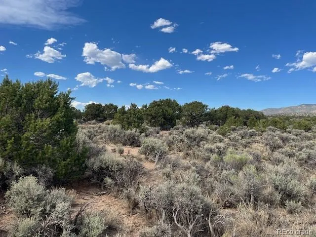 Lot 989 Bateman Road Fort Garland, CO 81133