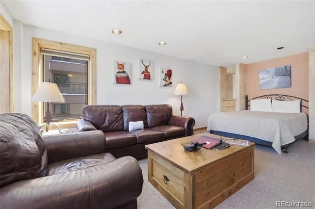 535 S Park Avenue #505 Breckenridge, CO 80424