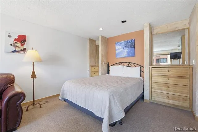 535 S Park Avenue #505 Breckenridge, CO 80424