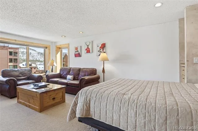 535 S Park Avenue #505 Breckenridge, CO 80424