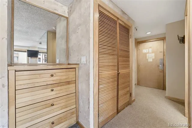 535 S Park Avenue #505 Breckenridge, CO 80424