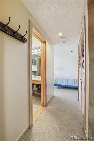 535 S Park Avenue #505 Breckenridge, CO 80424